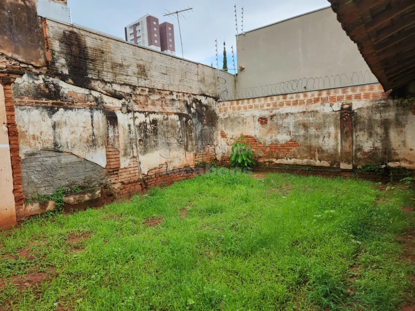 Comprar Casa / Padrão em São José do Rio Preto apenas R$ 380.000,00 - Foto 2