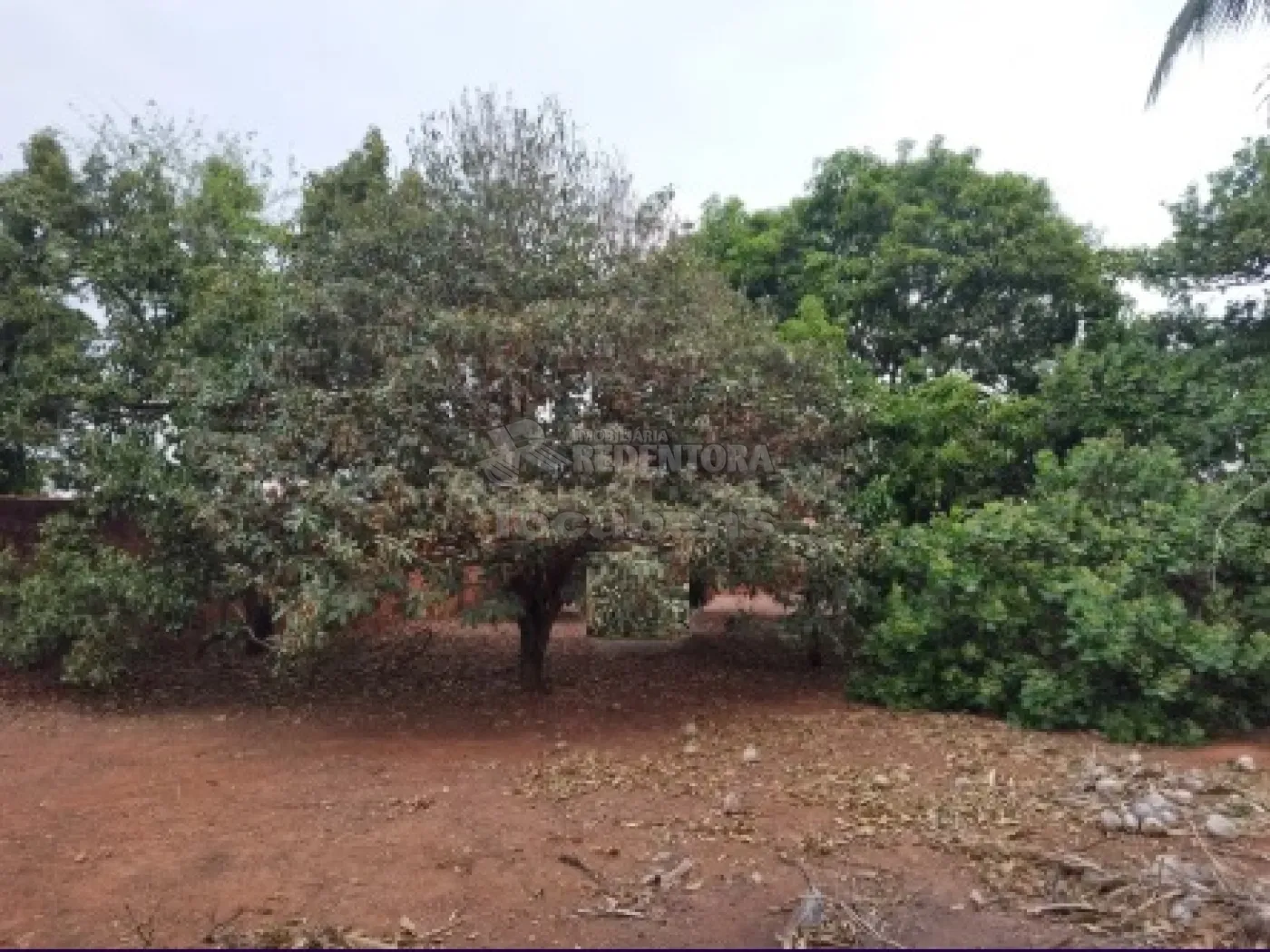 Comprar Rural / Chácara em São José do Rio Preto apenas R$ 165.000,00 - Foto 2