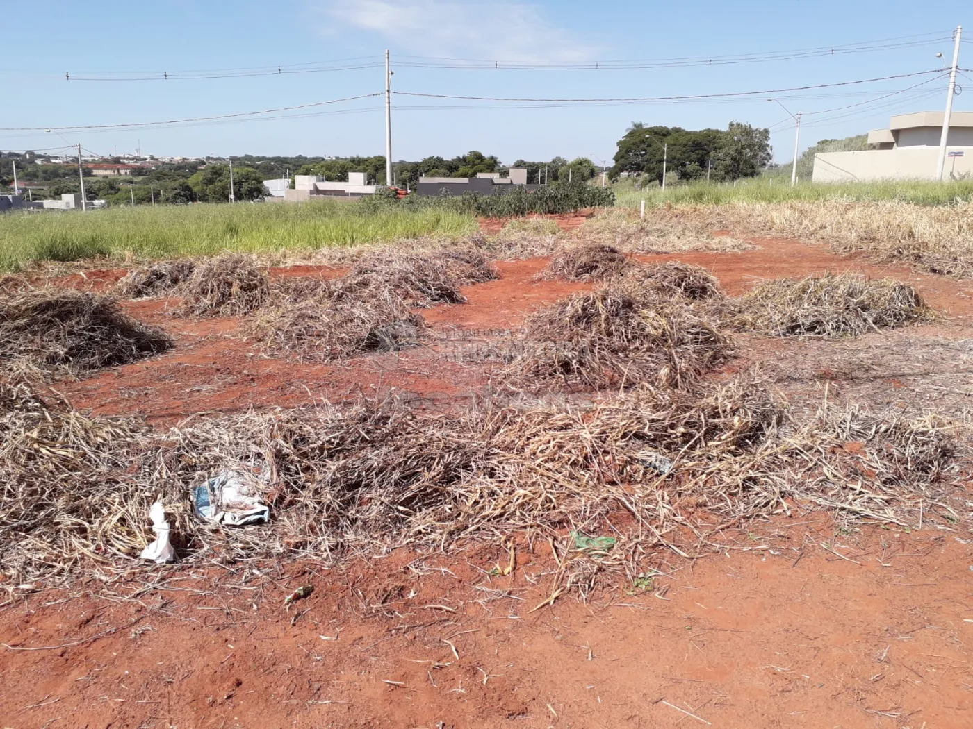 Comprar Terreno / Condomínio em São José do Rio Preto apenas R$ 115.000,00 - Foto 2