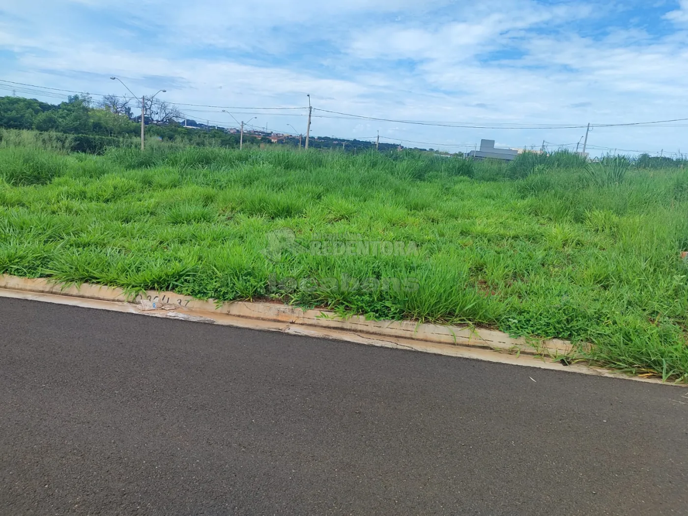 Comprar Terreno / Padrão em São José do Rio Preto apenas R$ 120.000,00 - Foto 5