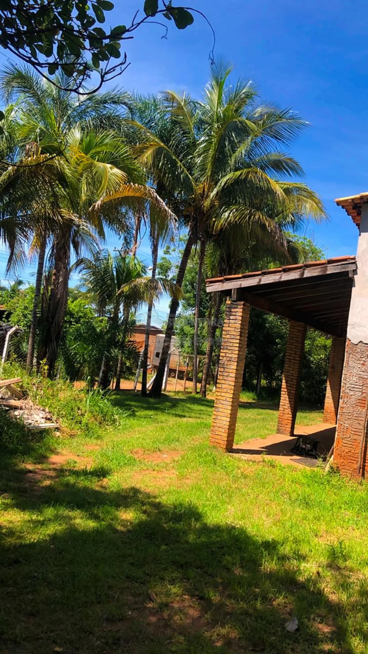 Comprar Rural / Chácara em São José do Rio Preto apenas R$ 450.000,00 - Foto 4