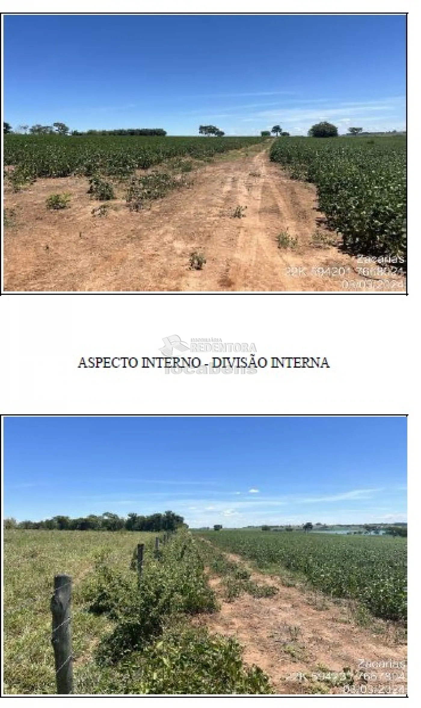 Comprar Rural / Fazenda em Zacarias apenas R$ 20.350.000,00 - Foto 4