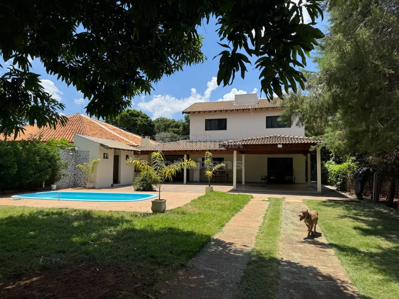 Comprar Rural / Chácara em Cedral apenas R$ 750.000,00 - Foto 17