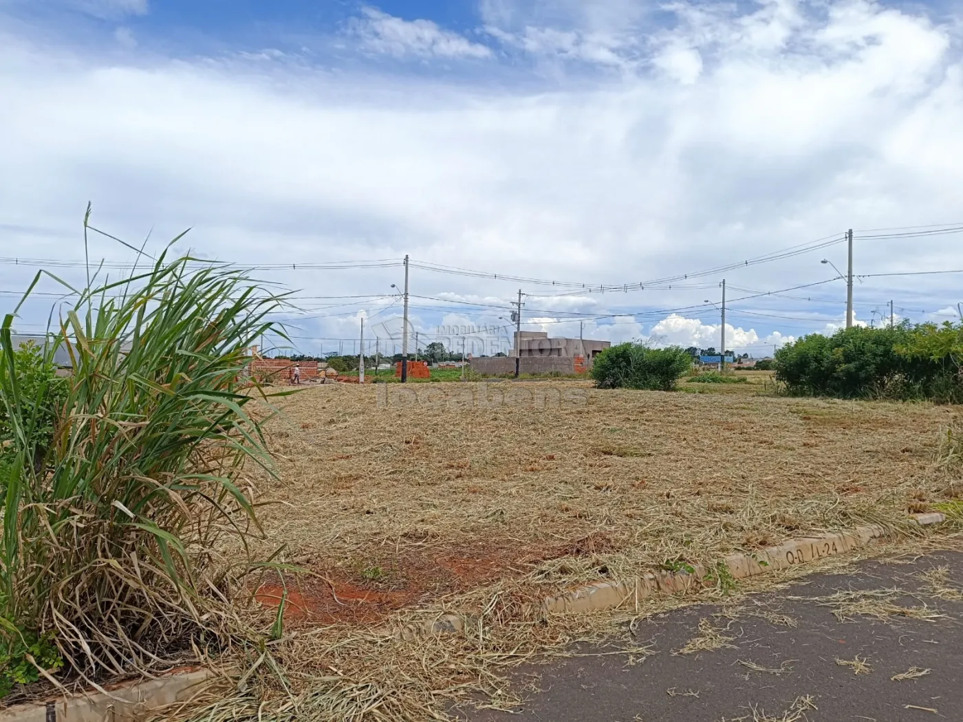 Comprar Terreno / Padrão em Uchoa apenas R$ 43.000,00 - Foto 1