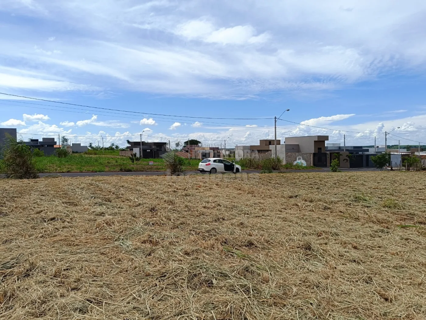 Comprar Terreno / Padrão em Uchoa apenas R$ 43.000,00 - Foto 3