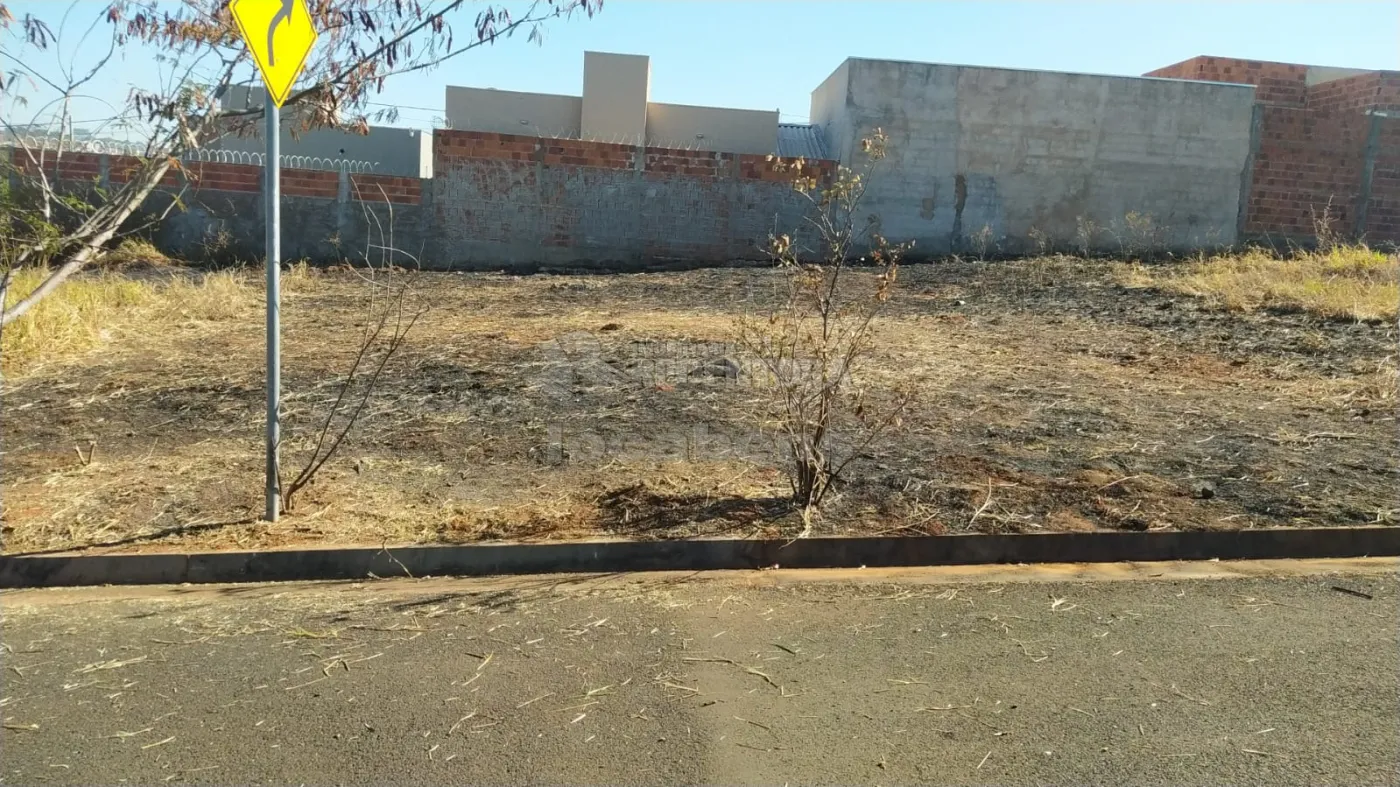 Comprar Terreno / Padrão em São José do Rio Preto apenas R$ 100.000,00 - Foto 1