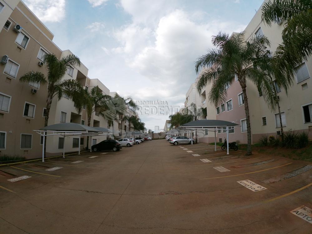 Comprar Apartamento / Padrão em São José do Rio Preto R$ 240.000,00 - Foto 28
