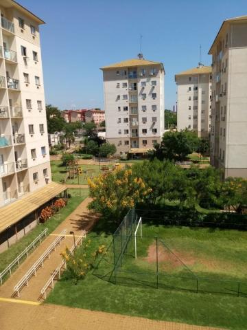 Alugar Apartamento / Padrão em São José do Rio Preto R$ 1.250,00 - Foto 37