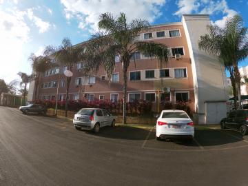 Comprar Apartamento / Padrão em São José do Rio Preto apenas R$ 179.000,00 - Foto 23