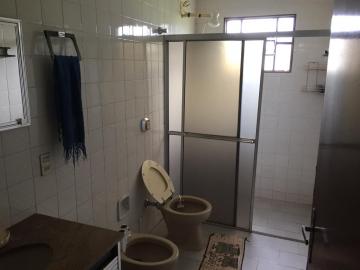 Comprar Rural / Chácara em São José do Rio Preto R$ 900.000,00 - Foto 14