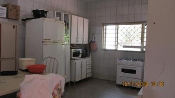 Alugar Rural / Chácara em São José do Rio Preto. apenas R$ 700.000,00