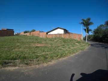 Comprar Terreno / Padrão em Bady Bassitt apenas R$ 98.000,00 - Foto 4