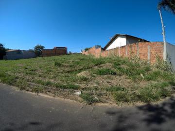 Comprar Terreno / Padrão em Bady Bassitt apenas R$ 98.000,00 - Foto 6