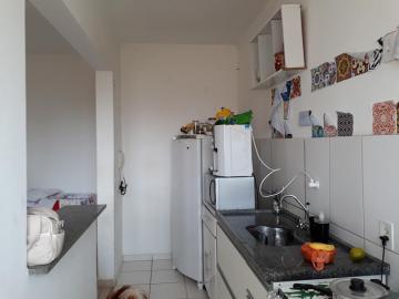 Comprar Apartamento / Padrão em São José do Rio Preto apenas R$ 240.000,00 - Foto 15