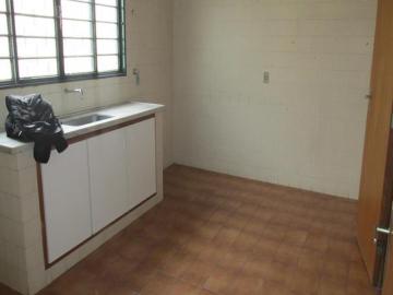 Alugar Apartamento / Padrão em São José do Rio Preto R$ 839,68 - Foto 13