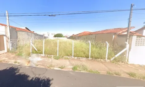 Terreno / Padrão em São José do Rio Preto 