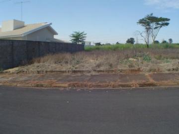 Terreno / Padrão em São José do Rio Preto 