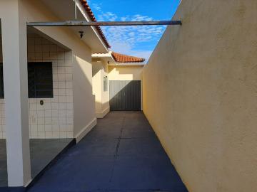 Alugar Casa / Padrão em São José do Rio Preto R$ 3.000,00 - Foto 5