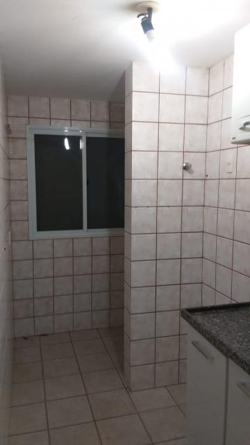 Alugar Apartamento / Padrão em São José do Rio Preto R$ 550,00 - Foto 24