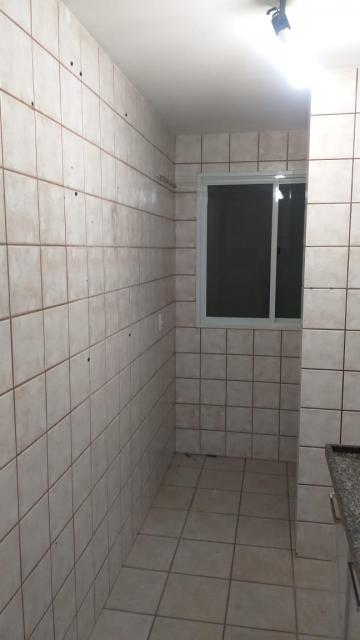 Alugar Apartamento / Padrão em São José do Rio Preto apenas R$ 550,00 - Foto 25