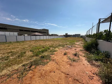 Comprar Terreno / Área em São José do Rio Preto - Foto 6