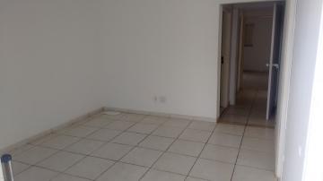 Alugar Comercial / Casa Comercial em São José do Rio Preto. apenas R$ 3.000,00