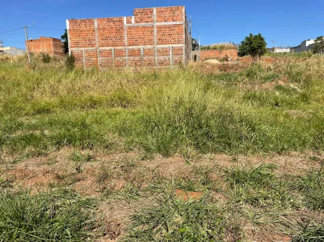 Comprar Terreno / Padrão em Bady Bassitt R$ 71.500,00 - Foto 8