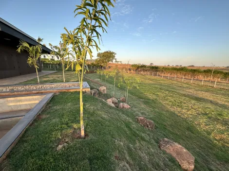 Comprar Casa / Condomínio em São José do Rio Preto apenas R$ 8.000.000,00 - Foto 2