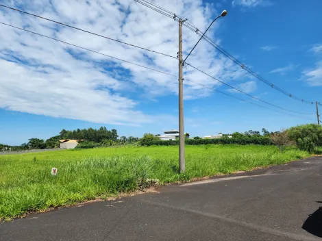 Comprar Terreno / Condomínio em São José do Rio Preto apenas R$ 850.000,00 - Foto 3