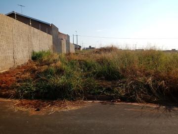 Terreno / Padrão em São José do Rio Preto 