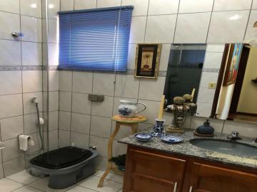 Comprar Apartamento / Padrão em São José do Rio Preto R$ 290.000,00 - Foto 17