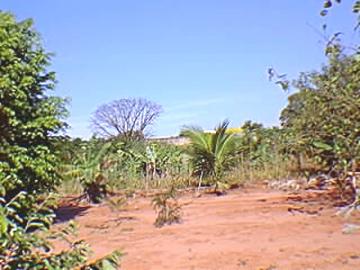 Comprar Rural / Chácara em São José do Rio Preto apenas R$ 13.440.000,00 - Foto 9