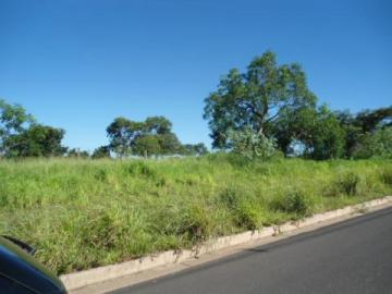 Terreno / Área em São José do Rio Preto , Comprar por R$29.500.000,00