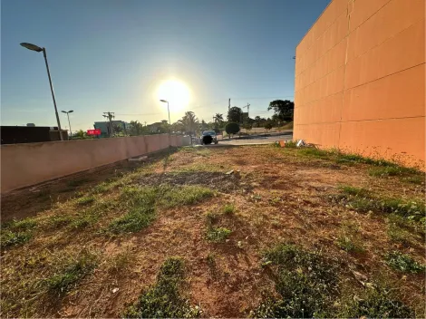 Terreno / Área em São José do Rio Preto 