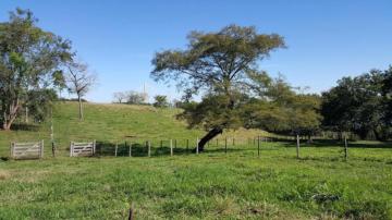 Comprar Rural / Sítio em Paranaíba apenas R$ 13.000.000,00 - Foto 4