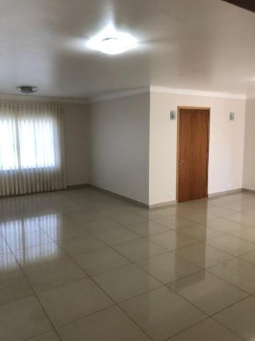 Comercial / Casa Comercial em São José do Rio Preto 