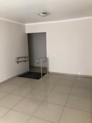 Alugar Comercial / Casa Comercial em São José do Rio Preto R$ 12.000,00 - Foto 8