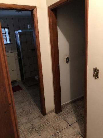 Alugar Apartamento / Padrão em São José do Rio Preto apenas R$ 1.500,00 - Foto 16