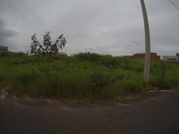 Comprar Terreno / Padrão em Bady Bassitt R$ 83.500,00 - Foto 1