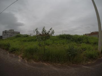 Comprar Terreno / Padrão em Bady Bassitt R$ 83.500,00 - Foto 2