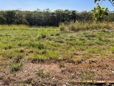 Comprar Terreno / Padrão em Bady Bassitt R$ 55.500,00 - Foto 6