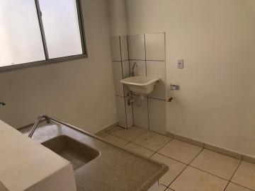 Alugar Apartamento / Padrão em São José do Rio Preto R$ 800,00 - Foto 4