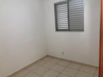 Alugar Apartamento / Padrão em São José do Rio Preto R$ 800,00 - Foto 5