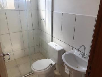 Alugar Apartamento / Padrão em São José do Rio Preto R$ 800,00 - Foto 6