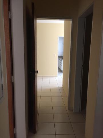 Alugar Apartamento / Padrão em São José do Rio Preto R$ 650,00 - Foto 4