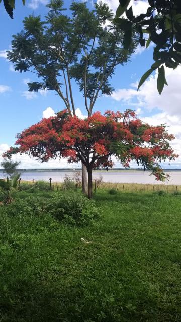 Comprar Terreno / Padrão em Fronteira R$ 360.000,00 - Foto 16