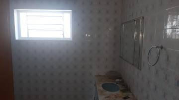 Alugar Comercial / Casa Comercial em São José do Rio Preto R$ 6.000,00 - Foto 13