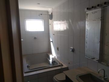 Alugar Apartamento / Padrão em São José do Rio Preto apenas R$ 1.100,00 - Foto 8