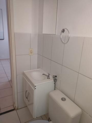 Alugar Apartamento / Padrão em São José do Rio Preto apenas R$ 550,00 - Foto 2