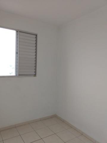 Alugar Apartamento / Padrão em São José do Rio Preto apenas R$ 550,00 - Foto 12